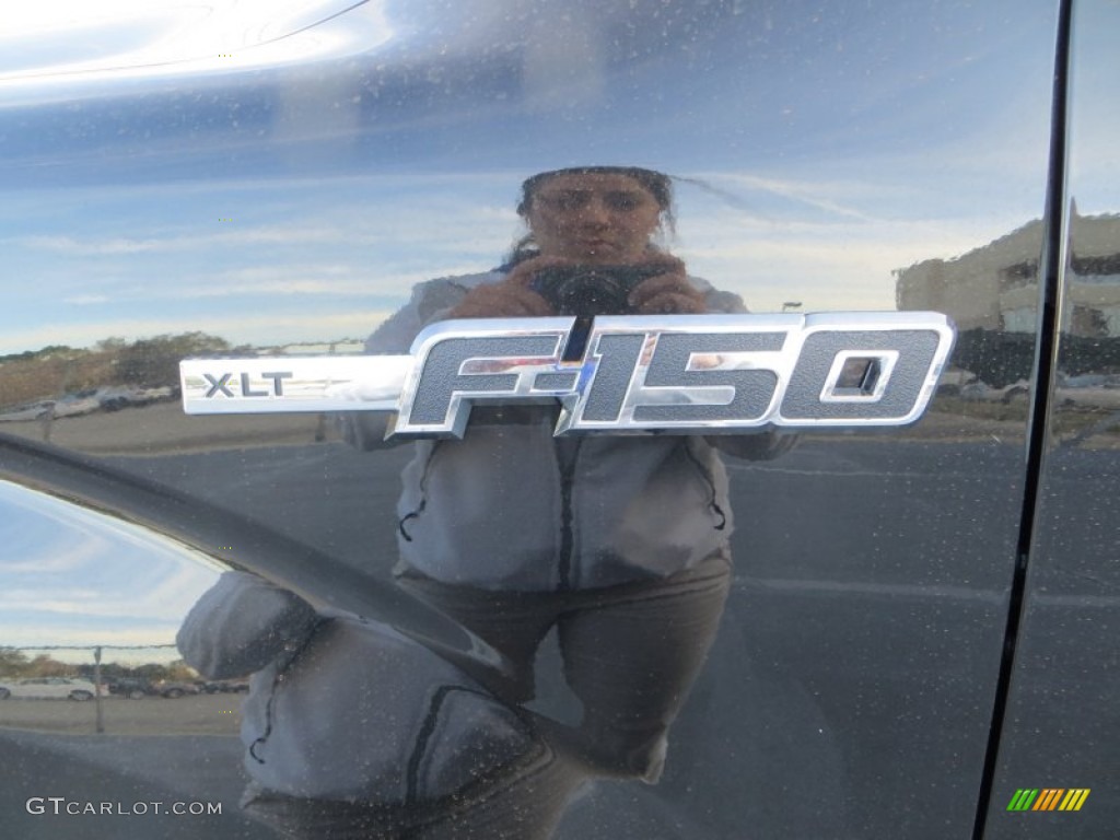 2014 F150 XLT SuperCrew - Tuxedo Black / Steel Grey photo #13