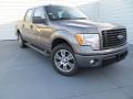 Sterling Grey 2014 Ford F150 STX SuperCrew Exterior