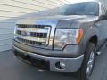 2014 Sterling Grey Ford F150 XLT SuperCab 4x4  photo #11