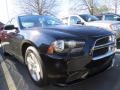Pitch Black - Charger SE Photo No. 4