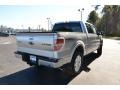 Ingot Silver - F150 Platinum SuperCrew 4x4 Photo No. 5