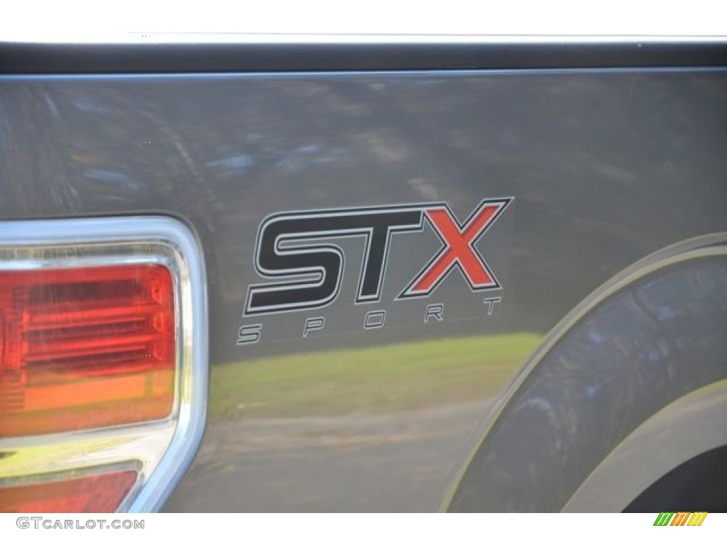 2014 F150 STX SuperCab - Sterling Grey / Black photo #6