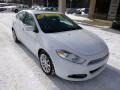 Bright White - Dart Limited Photo No. 2