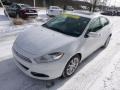 Bright White - Dart Limited Photo No. 4