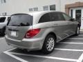 2006 Desert Silver Metallic Mercedes-Benz R 350 4Matic  photo #14