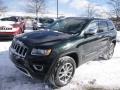 Black Forest Green Pearl - Grand Cherokee Limited 4x4 Photo No. 2