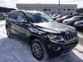 Black Forest Green Pearl - Grand Cherokee Limited 4x4 Photo No. 4