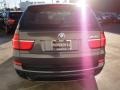 Platinum Gray Metallic - X5 xDrive 35i Photo No. 9