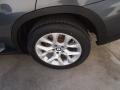 Platinum Gray Metallic - X5 xDrive 35i Photo No. 10