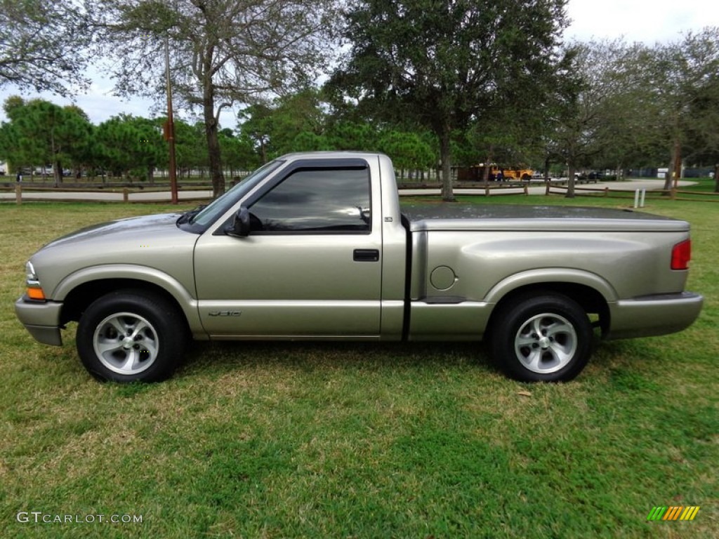 1998 S10 LS Regular Cab - Pewter Metallic / Beige photo #3