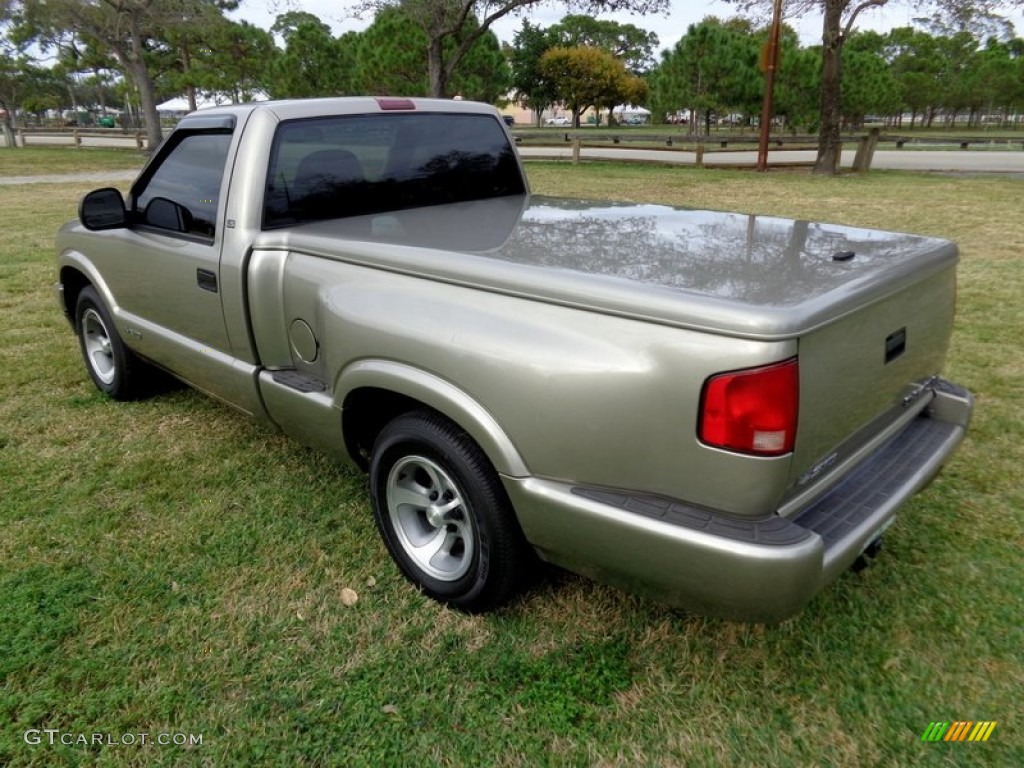 Pewter Metallic 1998 Chevrolet S10 LS Regular Cab Exterior Photo #89397483
