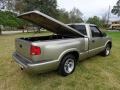 1998 Pewter Metallic Chevrolet S10 LS Regular Cab  photo #8