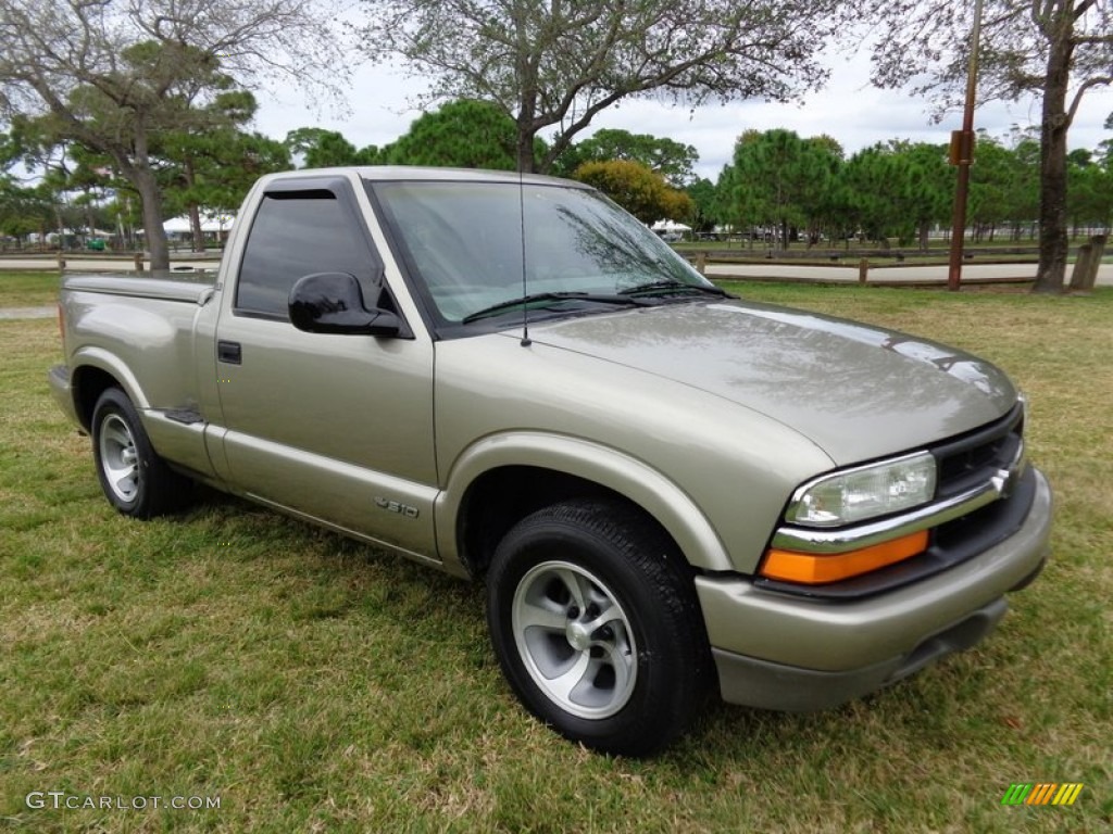 1998 S10 LS Regular Cab - Pewter Metallic / Beige photo #12