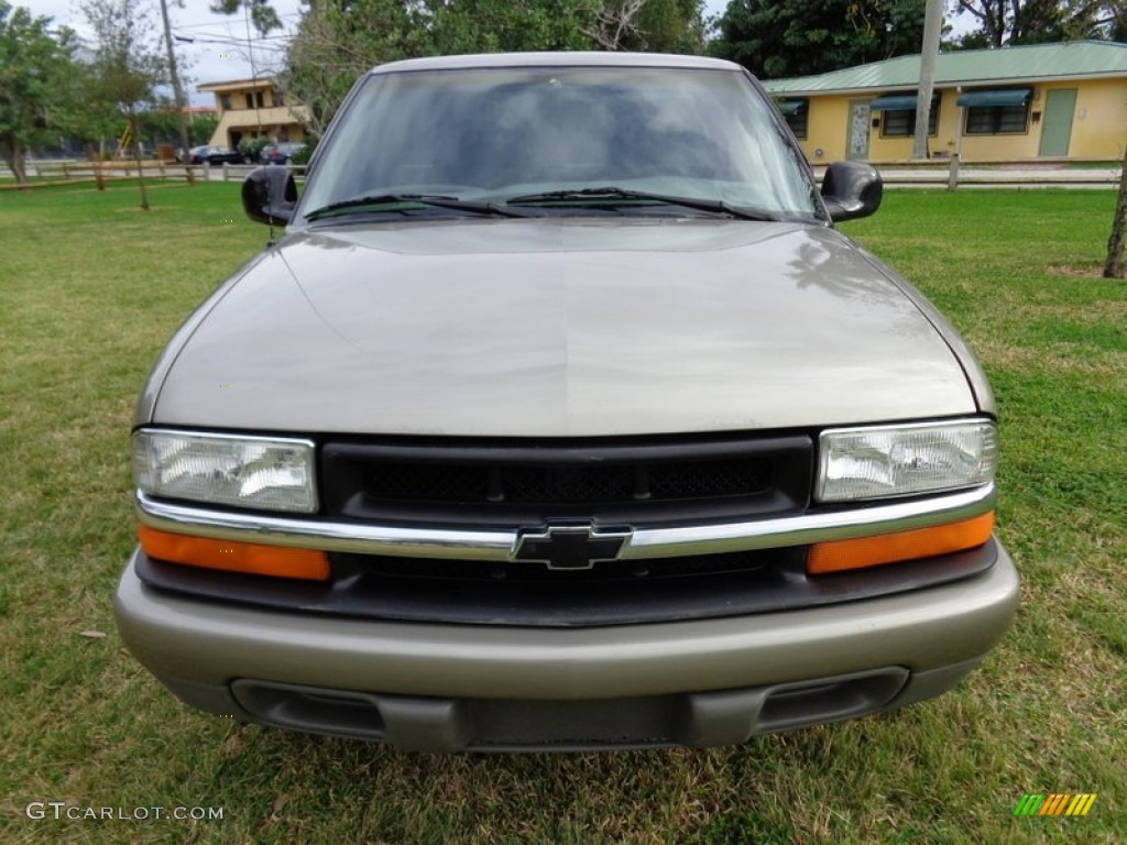 1998 S10 LS Regular Cab - Pewter Metallic / Beige photo #13