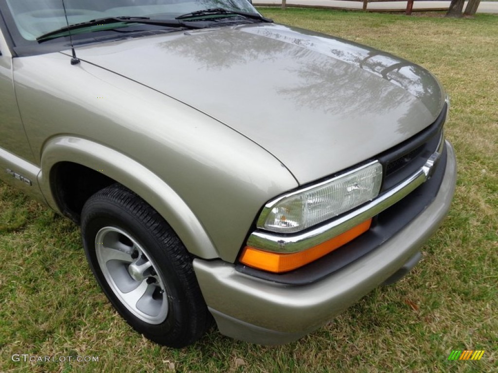 1998 S10 LS Regular Cab - Pewter Metallic / Beige photo #17
