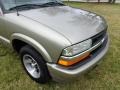 1998 Pewter Metallic Chevrolet S10 LS Regular Cab  photo #17