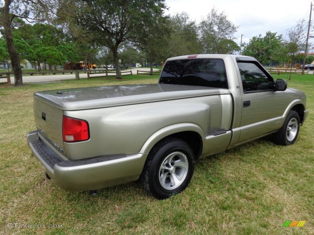 1998 S10 LS Regular Cab - Pewter Metallic / Beige photo #27