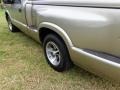 1998 Pewter Metallic Chevrolet S10 LS Regular Cab  photo #34