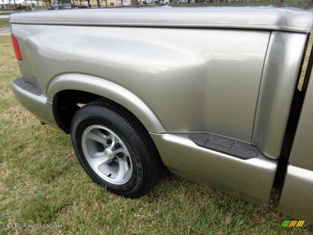1998 S10 LS Regular Cab - Pewter Metallic / Beige photo #41