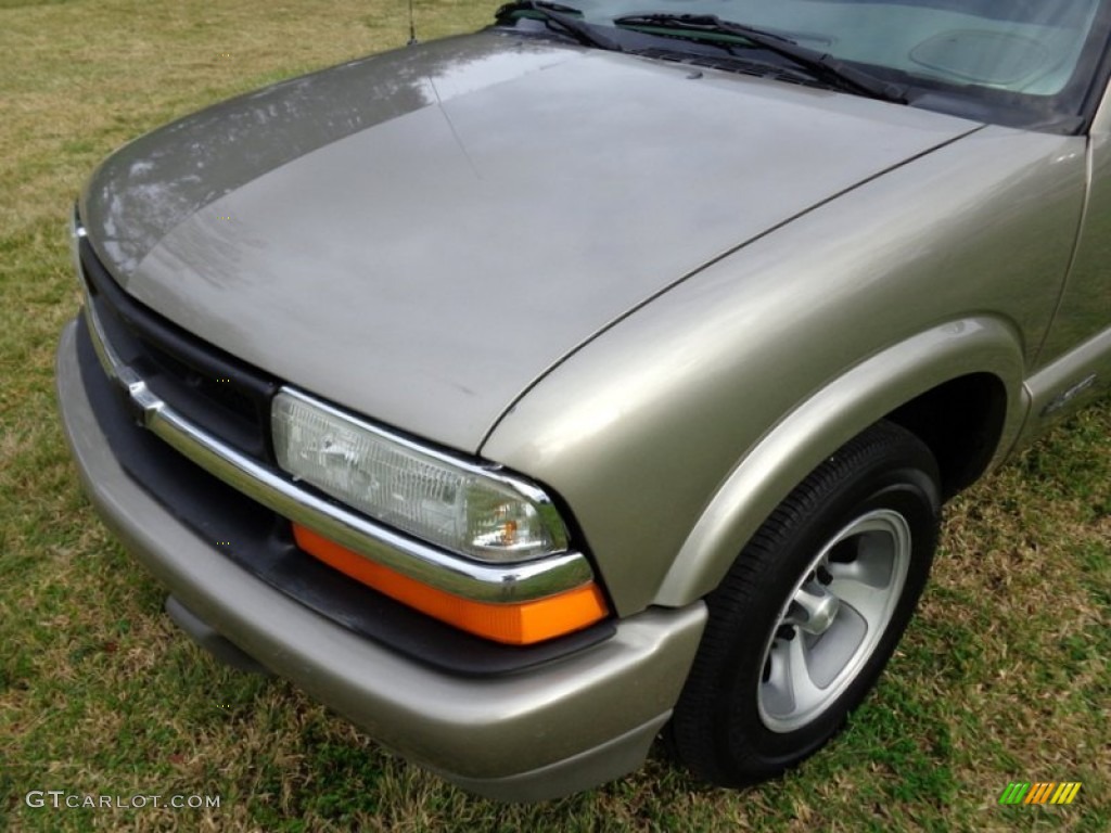 1998 S10 LS Regular Cab - Pewter Metallic / Beige photo #43