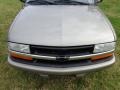 1998 Pewter Metallic Chevrolet S10 LS Regular Cab  photo #45