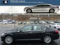 Obsidian Black 2010 Lexus LS 460 AWD