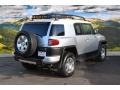 Titanium Metallic - FJ Cruiser 4WD Photo No. 3