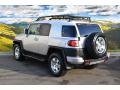Titanium Metallic - FJ Cruiser 4WD Photo No. 7