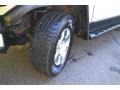 Titanium Metallic - FJ Cruiser 4WD Photo No. 25