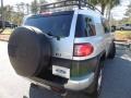 Titanium Metallic - FJ Cruiser 4WD Photo No. 13
