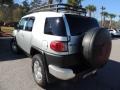 Titanium Metallic - FJ Cruiser 4WD Photo No. 15