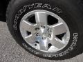 Titanium Metallic - FJ Cruiser 4WD Photo No. 16