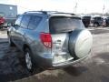 Everglade Metallic - RAV4 Limited 4WD Photo No. 27