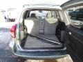 Everglade Metallic - RAV4 Limited 4WD Photo No. 28