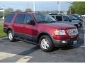 2004 Redfire Metallic Ford Expedition XLT 4x4  photo #7