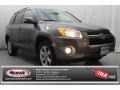 Pyrite Mica 2009 Toyota RAV4 Limited