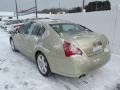 Champagne Mist Metallic - Maxima 3.5 SE Photo No. 4