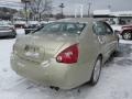 Champagne Mist Metallic - Maxima 3.5 SE Photo No. 6