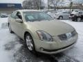 Champagne Mist Metallic - Maxima 3.5 SE Photo No. 7