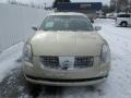 Champagne Mist Metallic - Maxima 3.5 SE Photo No. 8