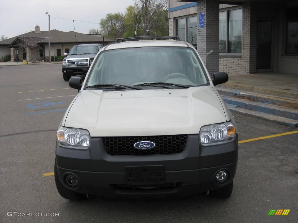 Silver Metallic Ford Escape