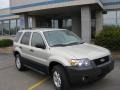 2005 Silver Metallic Ford Escape XLT V6  photo #2