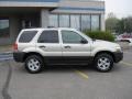 2005 Silver Metallic Ford Escape XLT V6  photo #4