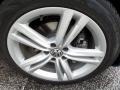 2013 Glacier Blue Metallic Volkswagen Passat TDI SEL  photo #7