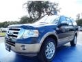 Front 3/4 View of 2014 Expedition King Ranch
