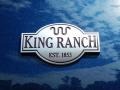 2014 Blue Jeans Ford Expedition King Ranch  photo #5