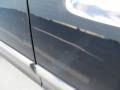 Black Clearcoat - Grand Marquis LS Photo No. 16
