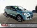 Frosted Glass Metallic 2013 Ford Escape SEL 1.6L EcoBoost