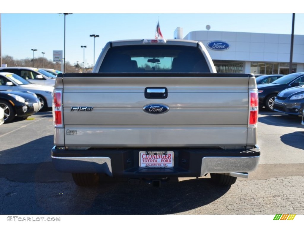 2010 F150 XLT SuperCrew - Pueblo Gold Metallic / Tan photo #5