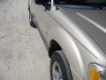 Pueblo Gold Metallic - Explorer Sport Trac XLT Photo No. 9